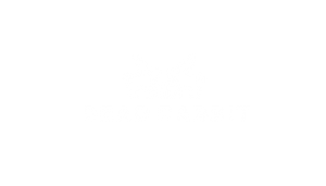 Dead Rabbit